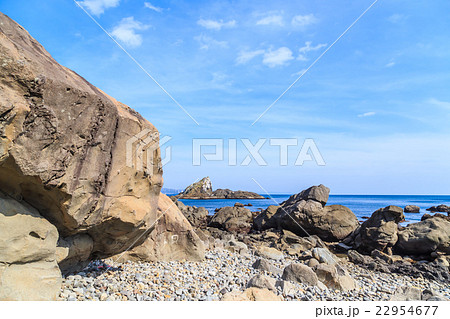 和歌山 ウミネコ島 和歌山 ウミネコ島 22954677