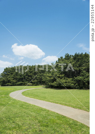 緑がいっぱいの広い公園 22955144