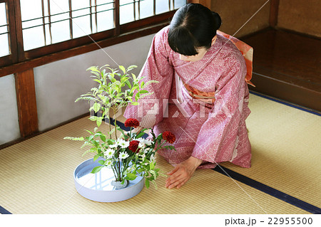 華道 生け花をする着物姿の女性の写真素材