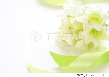 フラワーギフト フラワーギフト 22956049