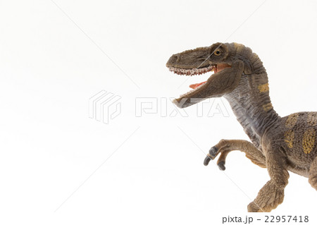 ベロキラプトル:Velociraptor 22957418