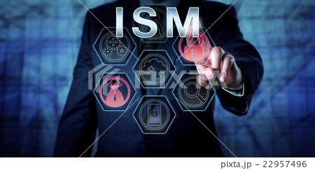 Male Computer Security Specialist Touching ISM 22957496