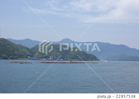 佐伯湾と養殖施設 佐伯湾と養殖施設 22957538