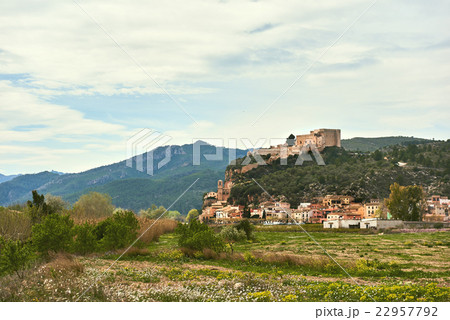 Miravet village in Spain Miravet village in Spain 22957792