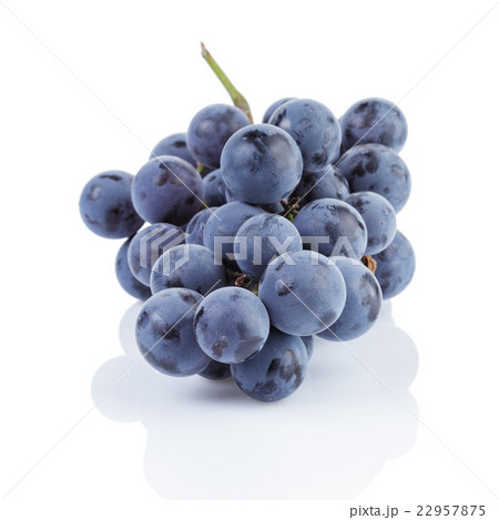 ripe isabella grapes isolated ripe isabella grapes isolated 22957875