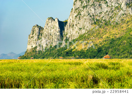 View of pavilions from Sam Roi Yod National park View of pavilions from Sam Roi Yod National park 22958441