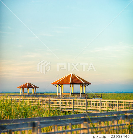 View of pavilions from Sam Roi Yod National park View of pavilions from Sam Roi Yod National park 22958446