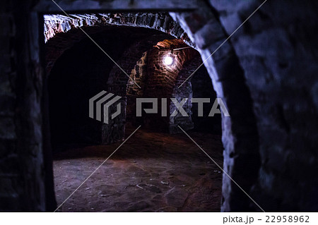 Underground vault in the basement Underground vault in the basement 22958962