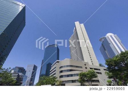 春 新緑 青空 新宿高層ビル街 見上げる 超広角 コピースペース 春 新緑 青空 新宿高層ビル街 見上げる 超広角 コピースペース 22959003
