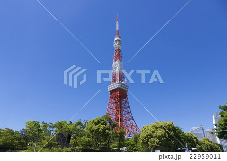 東京タワー　快晴　青空　春　新緑の樹々　右に高層ビル 22959011