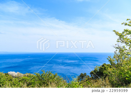 日の岬パークからの眺望 22959399