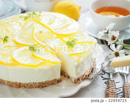 レモンレアチーズケーキ の写真素材