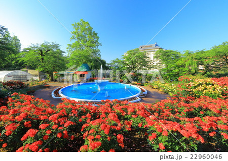 花巻温泉 バラ園 花巻温泉 バラ園 22960046