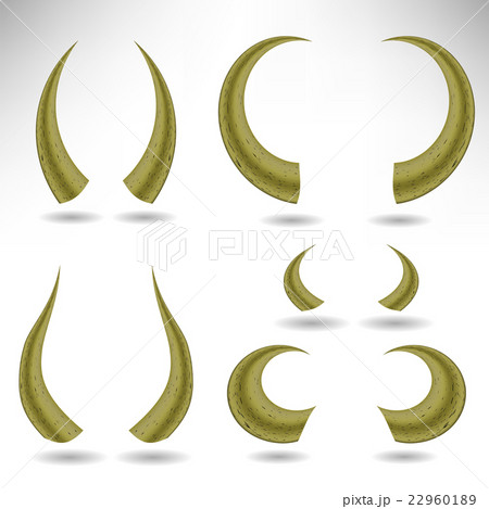 Animal Horns Isolated. Bull  22960189