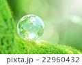 森の中の地球儀 22960432