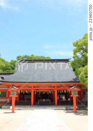 福岡市 住吉神社 福岡市 住吉神社 22960700