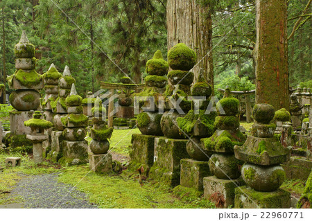 【高野山 奥の院】 和歌山県伊都郡高野町高野山 【高野山 奥の院】 和歌山県伊都郡高野町高野山 22960771