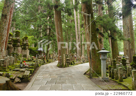 【高野山 奥の院】 和歌山県伊都郡高野町高野山 22960772