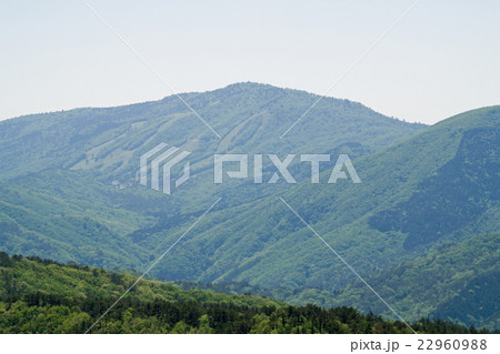 新緑の恐羅漢 22960988