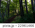 山道 22961466