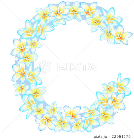 プルメリア_花文字_C プルメリア_花文字_C 22961576