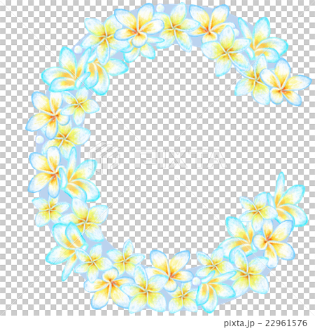 プルメリア_花文字_C プルメリア_花文字_C 22961576