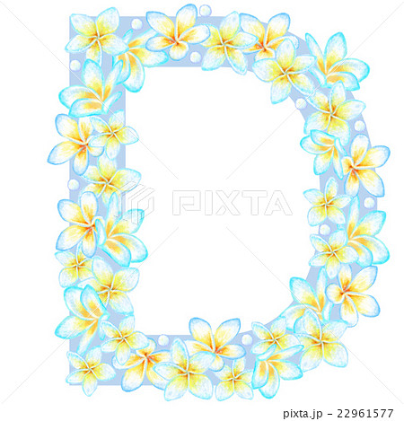 プルメリア_花文字_D プルメリア_花文字_D 22961577