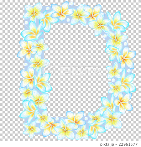 Plumeria _ Flower Letters _ D 22961577