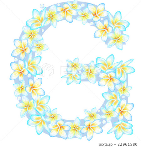 プルメリア＿花文字＿G 22961580