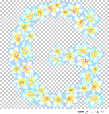 プルメリア＿花文字＿G 22961580