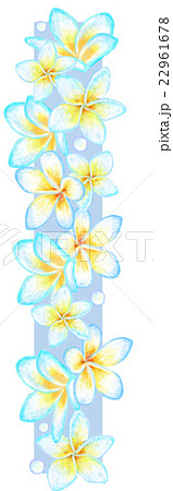 プルメリア花文字_I 22961678