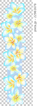 プルメリア花文字_I 22961678