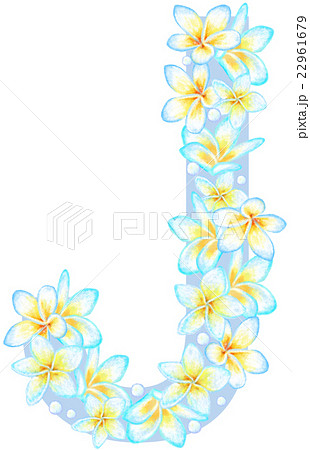プルメリア花文字_J 22961679