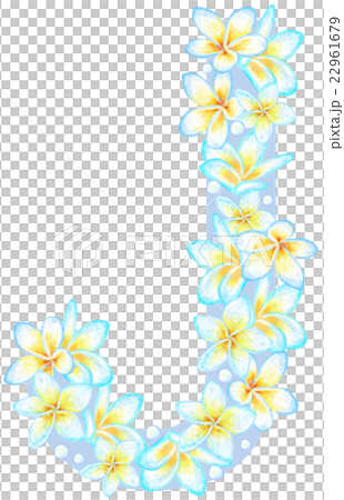 プルメリア花文字_J 22961679