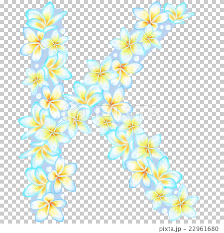 プルメリア花文字_K プルメリア花文字_K 22961680