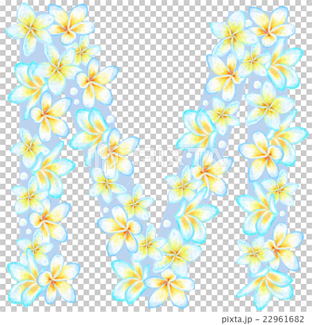 プルメリア花文字_M 22961682