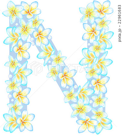 プルメリア花文字_N プルメリア花文字_N 22961683