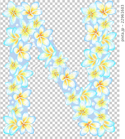プルメリア花文字_N プルメリア花文字_N 22961683