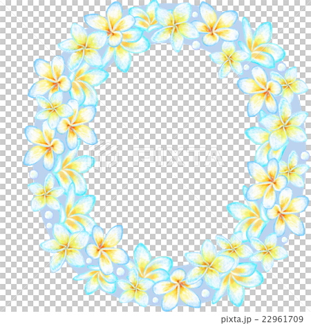 プルメリア花文字＿O 22961709