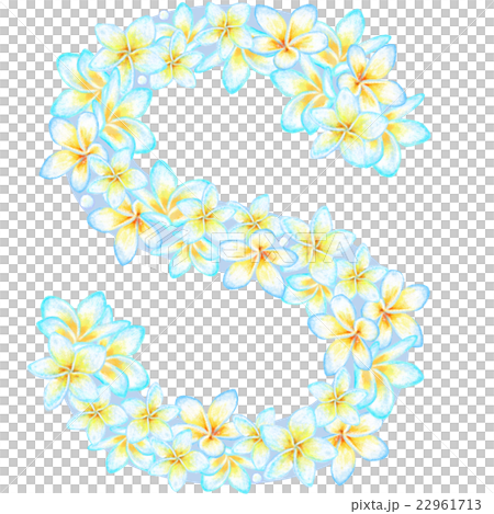 Plumeria flower character _S 22961713