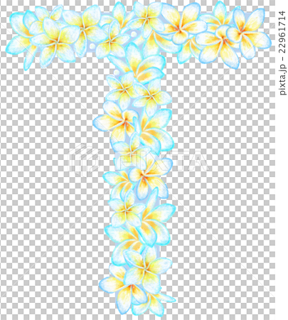 Plumeria flower character _ T 22961714