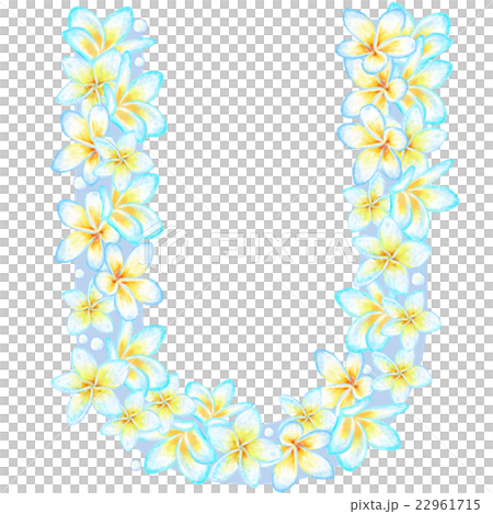 プルメリア花文字＿U 22961715