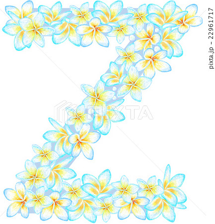 プルメリア花文字_Z プルメリア花文字_Z 22961717