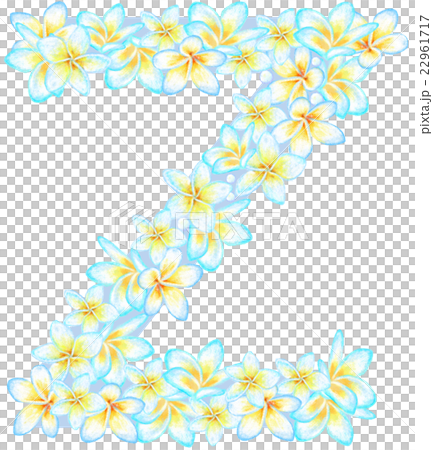 プルメリア花文字_Z プルメリア花文字_Z 22961717