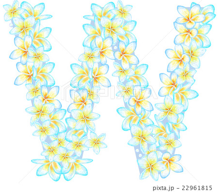 プルメリア花文字＿W 22961815