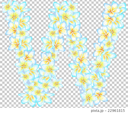 プルメリア花文字＿W 22961815