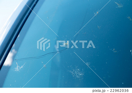Crushed insect on the windshield of the car. Crushed insect on the windshield of the car. 22962036