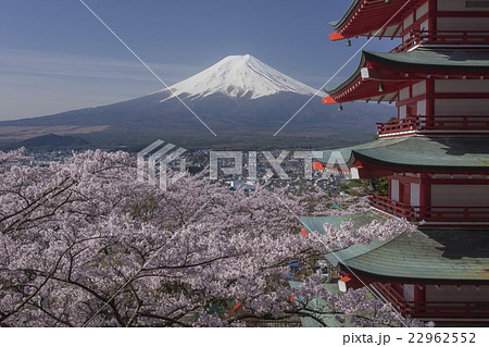 富士山と桜 22962552