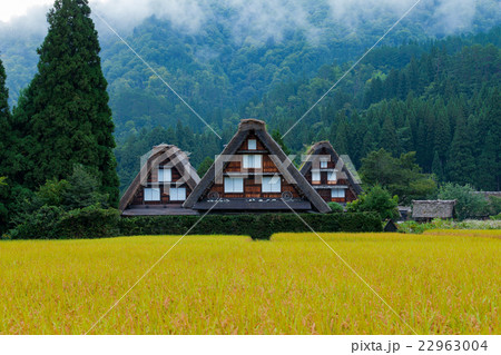 世界遺産 白川郷 実りの秋 22963004