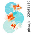 金魚1 22963150